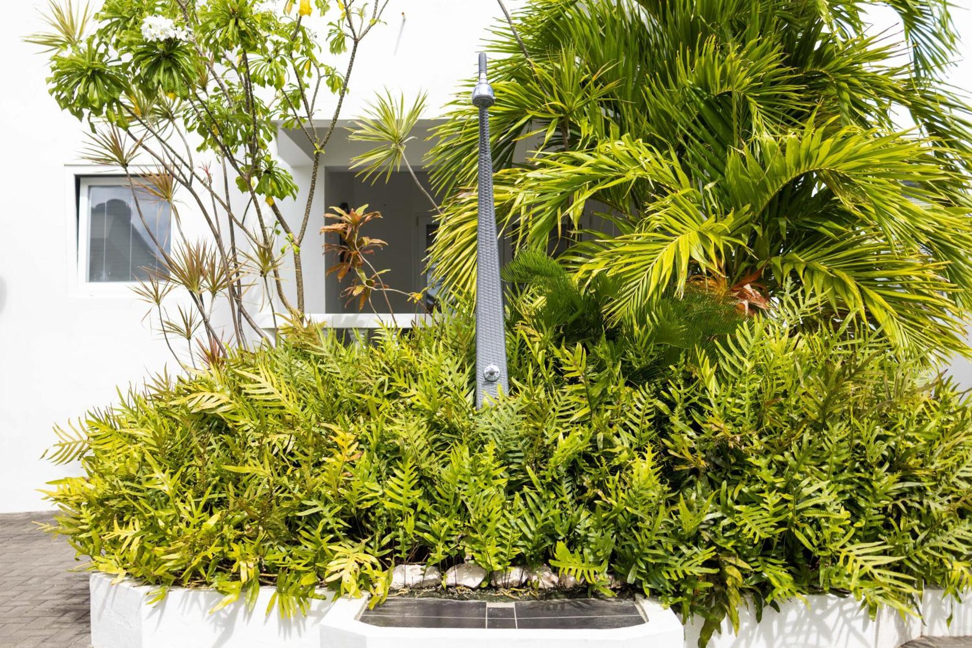 Palm Crest Lägenhet Jan Thiel Exteriör bild